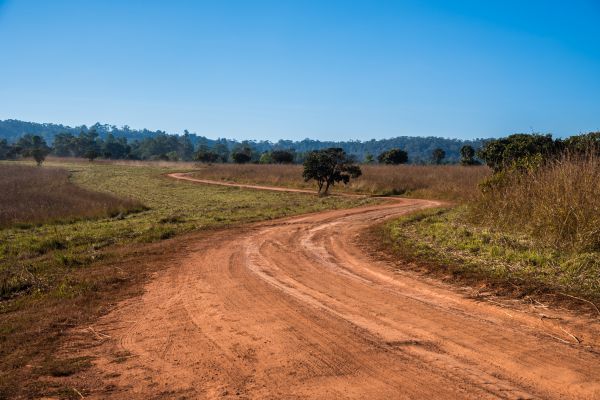 Cost of Dirt Driveway Repair in Milton