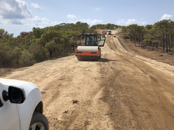 Driveway Grading in Milton