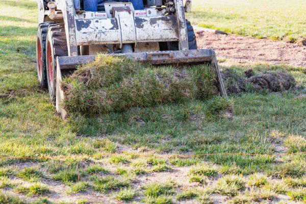 Landscape Leveling in Milton