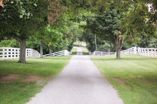 Road Installation in Milton
