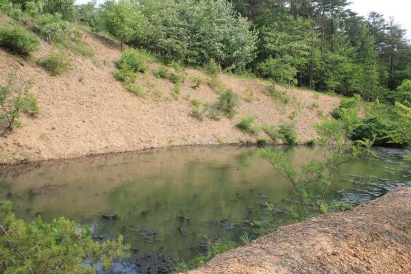 Cost of Pond Erosion Repair in Milton