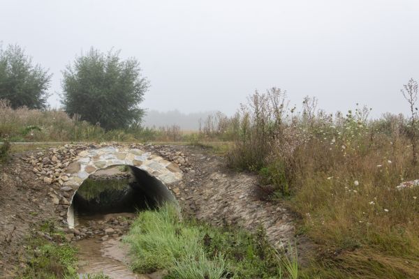 Culvert Excavation in Milton